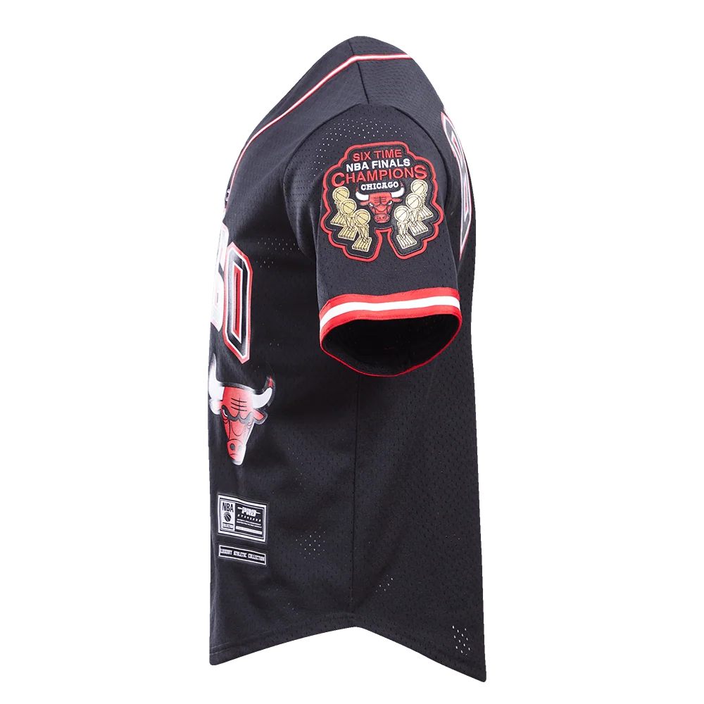 Men's Pro Standard NBA Chicago Bulls Logo Mesh Button Up Jersey Black BCB153898BLK
