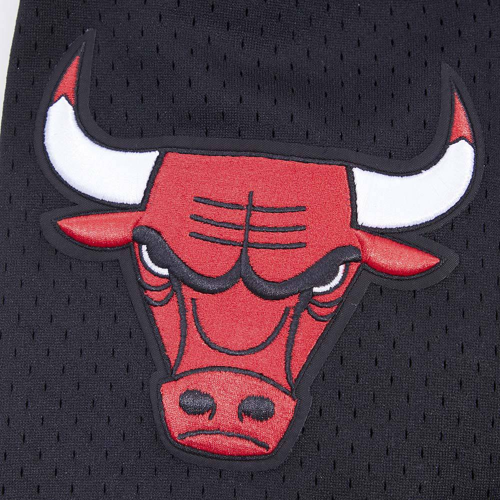 Men's Pro Standard NBA Chicago Bulls Logo Mesh Button Up Jersey Black BCB153898BLK