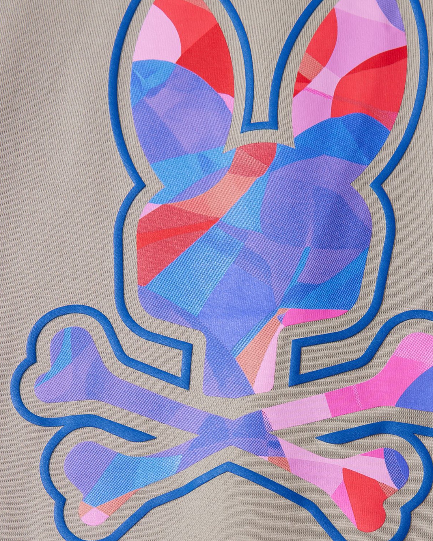 Men's Psycho Bunny Norridge Graphic Tee Oyster