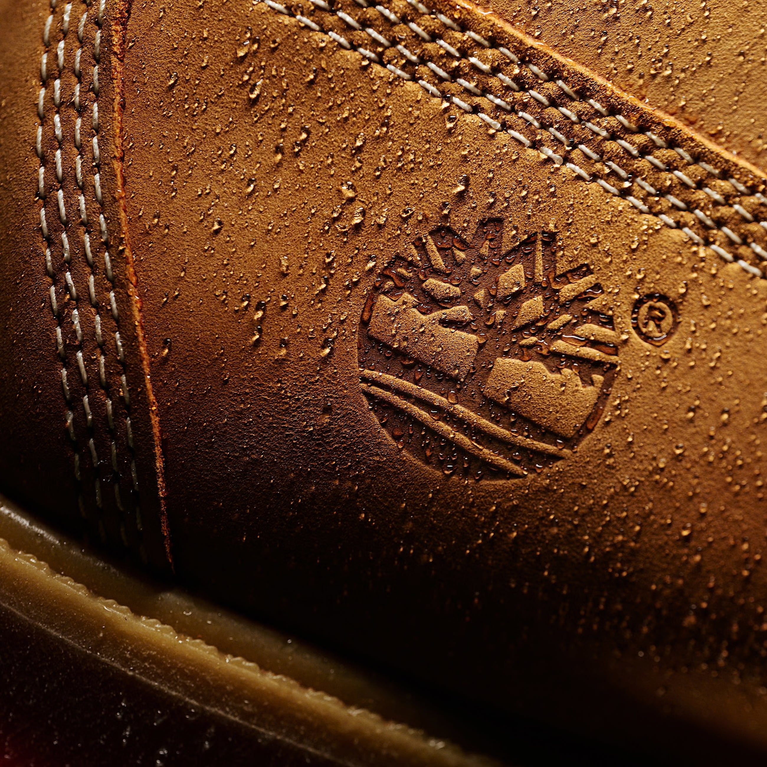 Men's Timberland Premium 6-Inch Waterproof Boots Wheat