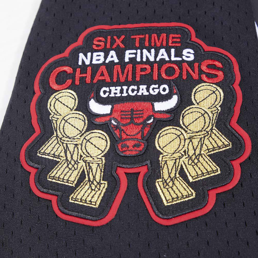 Men's Pro Standard NBA Chicago Bulls Logo Mesh Button Up Jersey Black BCB153898BLK