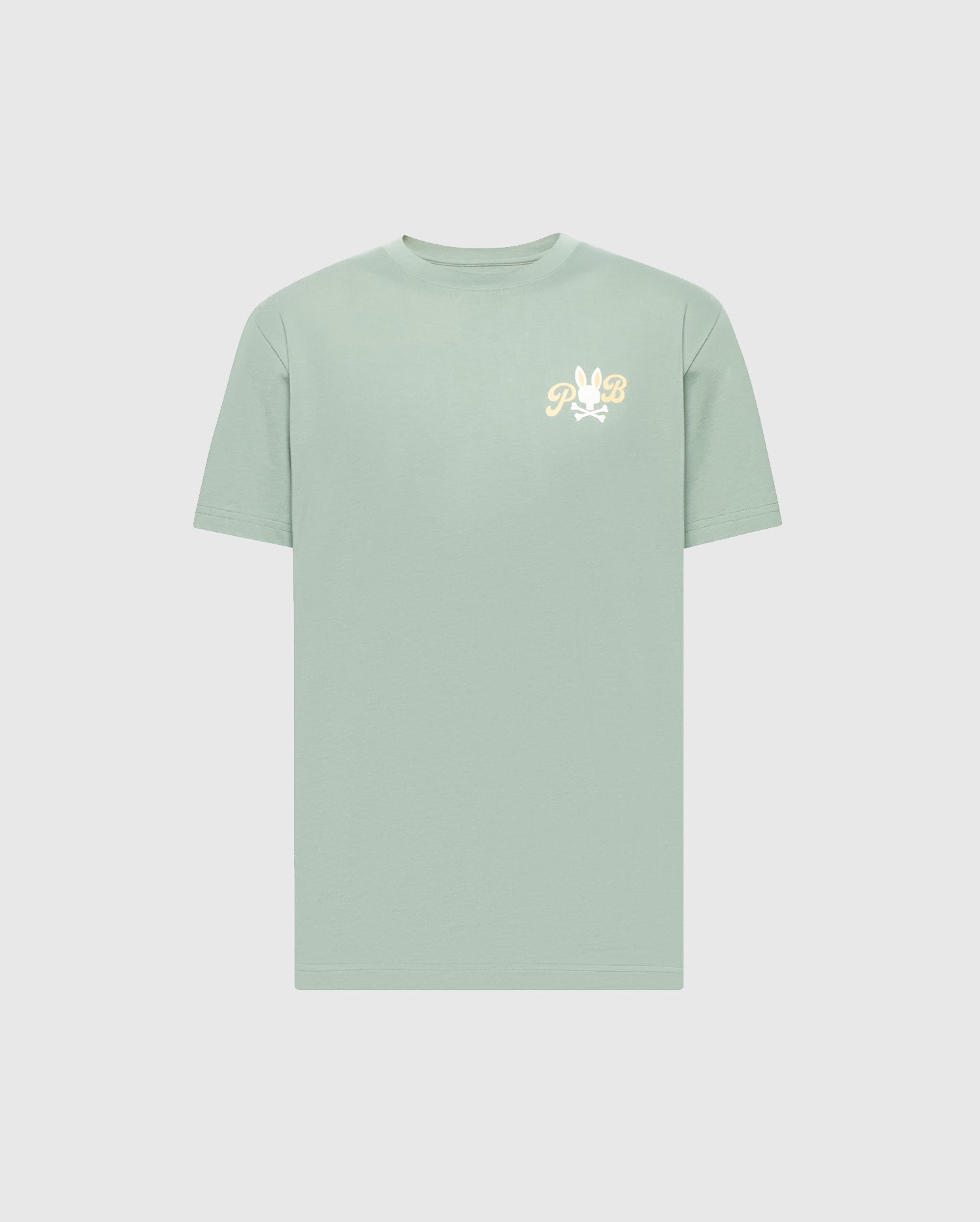 Men's Psycho Bunny Jeremy Graphic Tee Iceberg Green