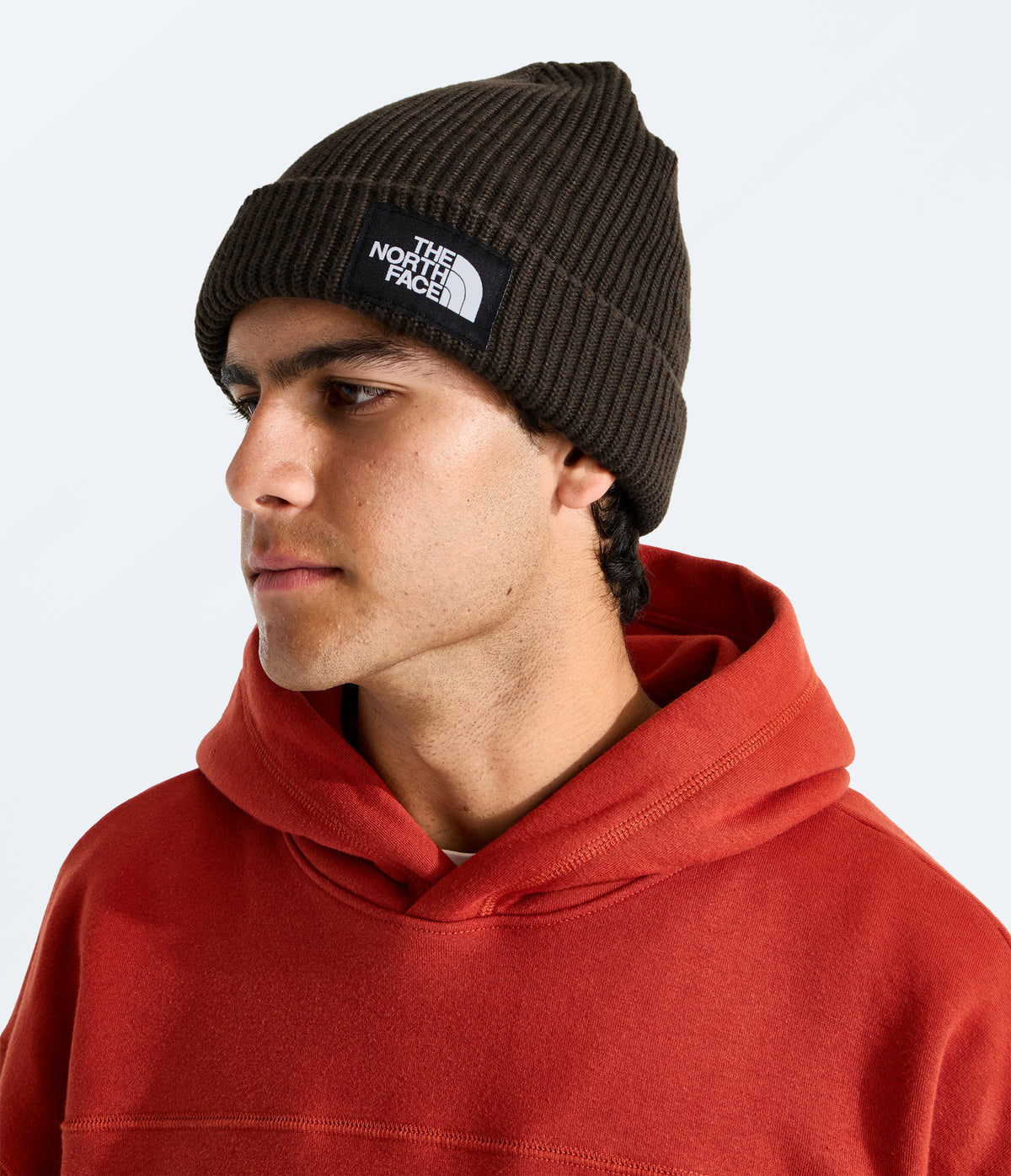 The North Face Salty Lined Beanie Dark Chestnut
