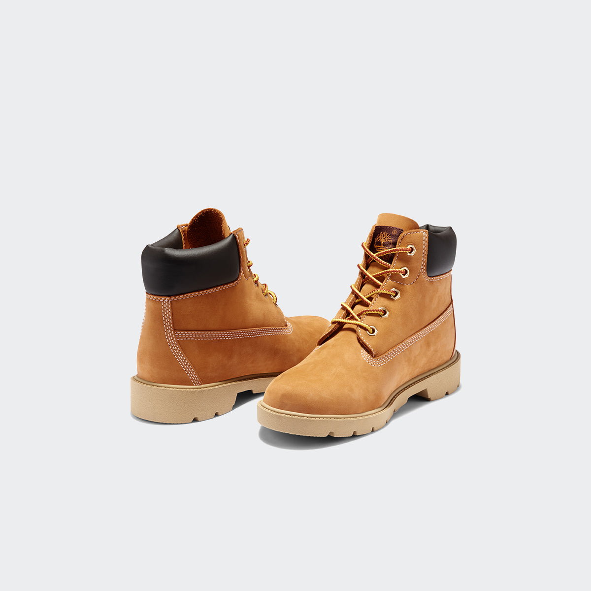 Kid's Timberland 6-Inch Classic Ankle Boots Wheat (TB010960713) | Chicago City Sports | front and rear view